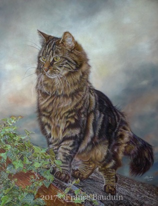 King of the Castle - 104 hours
Brown Pastelmat board
25.2 x 19.3"
Our Griffin, from Laila's 2nd litter 2012 King of the Castle - 104 hours
Brown Pastelmat board
25.2 x 19.3"
Our Griffin, from Laila's 2nd litter 2012